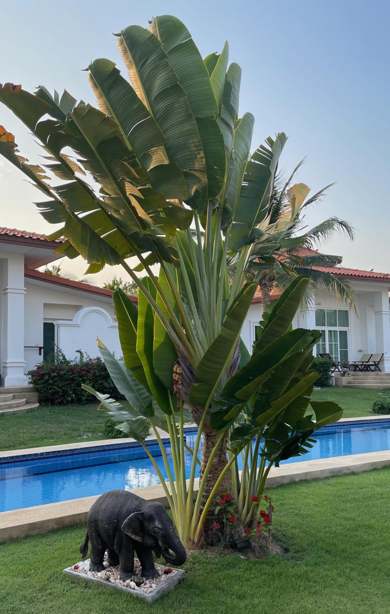 Villa Bougainvillea HHQ Exterior foto